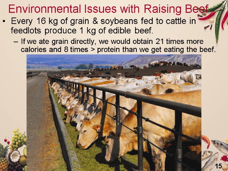 15 Environmental Issues with Raising Beef Every 16 kg of grain & soybeans fed